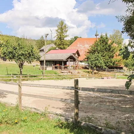 Chalet Bestaenderhof Schonach im Schwarzwald Экстерьер фото