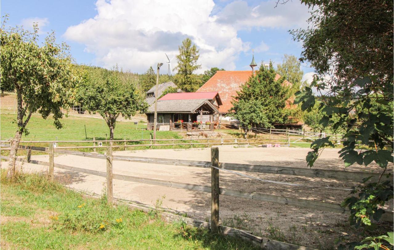 Ferienhaus In Schonach Im Schwarzwal With Wifi&2 Bedrooms Schonach im Schwarzwald